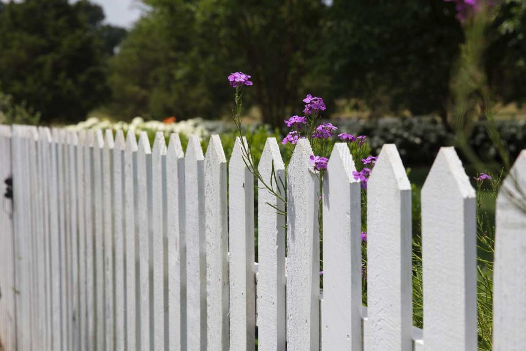 Fencing on a Budget: Cost-Effective Options for Residential Properties